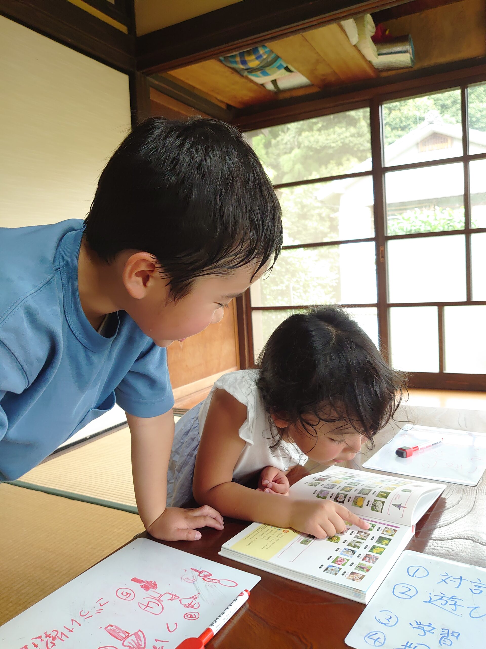 ７／４　小１国語「つぼみ」の学習から📖